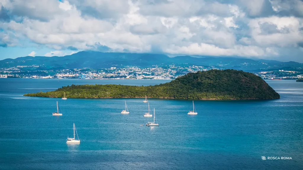 Martinique Rosca Roma