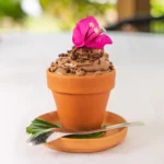 Le Silence ca pousse - Jardin des envies